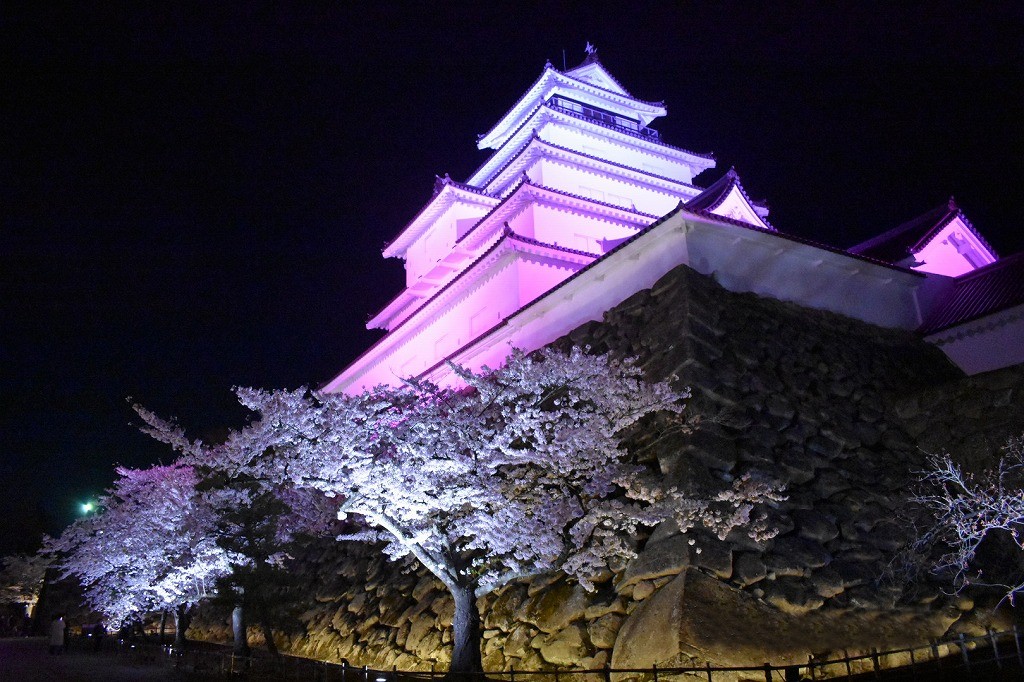 ライトアップされた鶴ヶ城と夜桜はとても幻想的でした 喜多方ラーメンのお取り寄せ通販 ギフトにもおすすめ 株式会社喜多方らーめん本舗