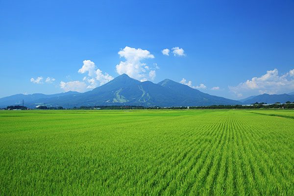 磐梯山 喜多方ラーメンのお取り寄せ通販 ギフトにもおすすめ – 株式会社喜多方らーめん本舗