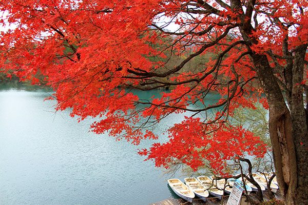 五色沼 喜多方ラーメンのお取り寄せ通販 ギフトにもおすすめ – 株式会社喜多方らーめん本舗